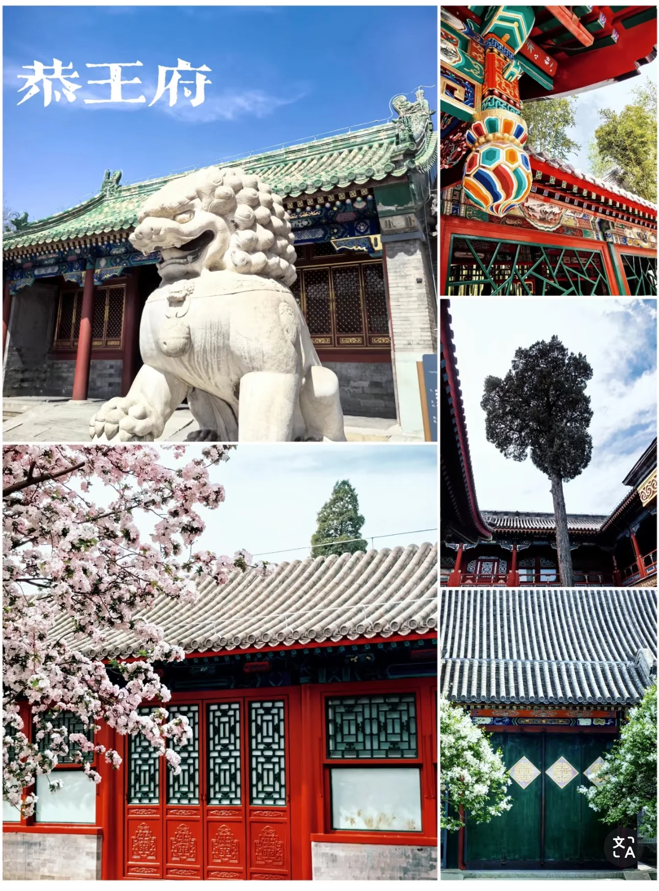 최용욱볼살 2